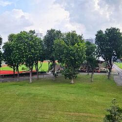 Blk 826 Yishun Street 81 (Yishun), HDB Executive #639641301